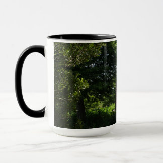 Mug Photo du pont au lac Parker à Lakeland