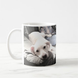 Mug Photo d'un chien blanc mou accroché au café papa