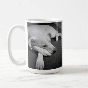 Mug Photo en noir et blanc d'un beau chien dormant