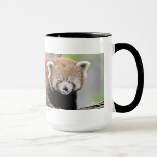 Mug Photo panda rouge, animaux, tasse de café