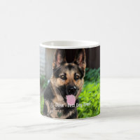 Photo personnalisée de chien de berger allemand,