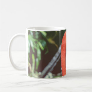 Mug Photographie de closeup d'oiseau rouge à long cou