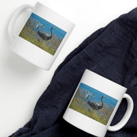 Photographie d'exposition d'oiseaux de Héron bleu
