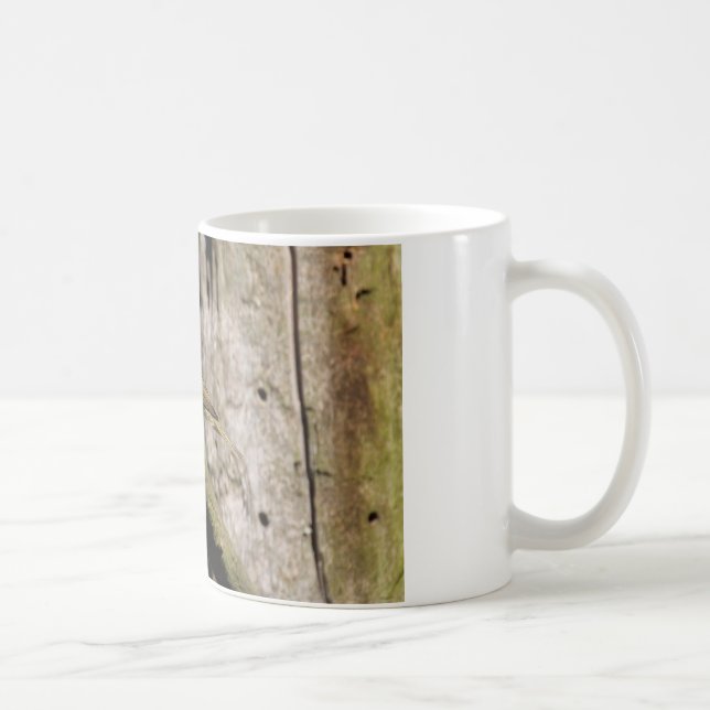 Mug Phylloscopus collybita (Droite)