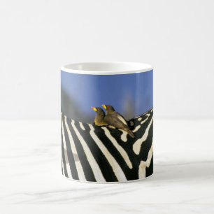 Mug Pic rouge sur un dos de Zèbre - Zimbabwe