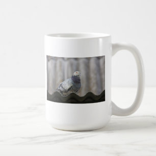 Mug Pigeon sur le toit.