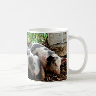 Mug Pile porcine