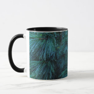 Mug Pins rustiques   pinède   conifères verts
