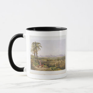 Mug Pirara et lac Amucu, le site de l'EL Dorado, de