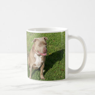 Mug Pitbull paisible