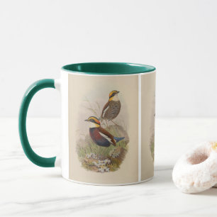 Mug Pitta de van der Bosch par John Gould