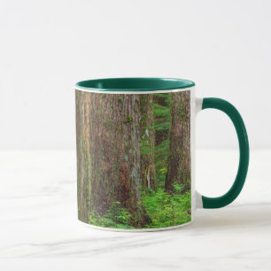 Mug Pittoresque de forêt ancienne