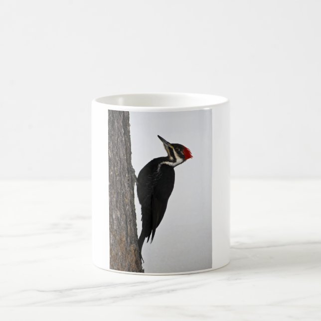 Mug pivert pileated (Centre)