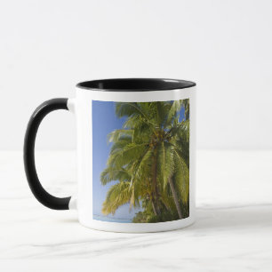 Mug Plage sur l'île One Foot, Aitutaki, Îles Cook