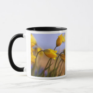 Mug Plan rapproché des jonquilles