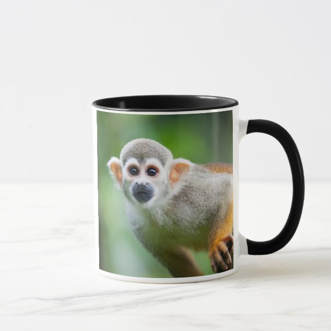 Mug Plan rapproché d'un singe-écureuil commun (Droite)