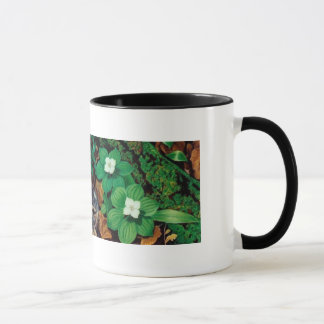 Mug Plancher de forêt/tasse lapin de bébé