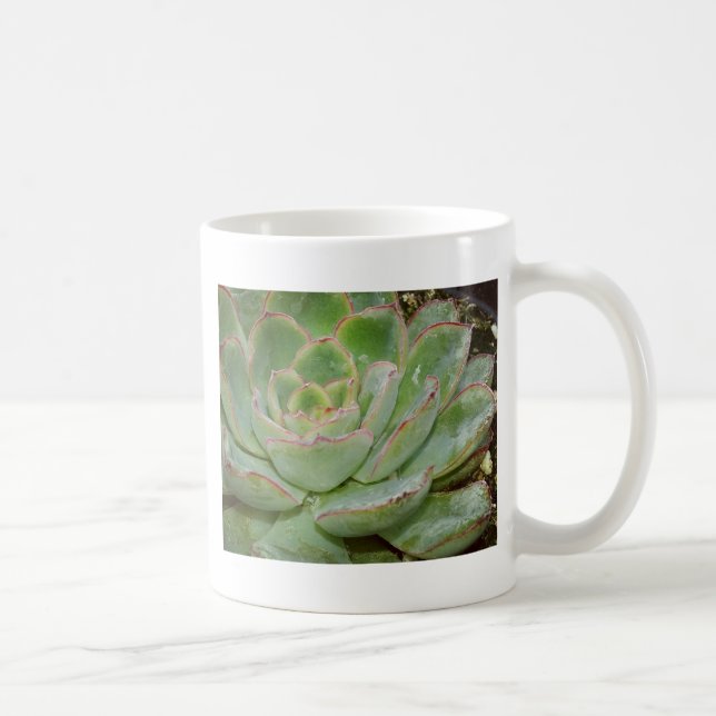 Mug Plante succulent (Droite)