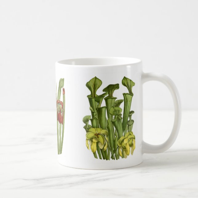 Mug Plantes de broc (Droite)