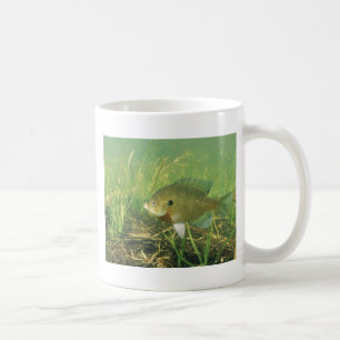 Mug Poisson de soleil