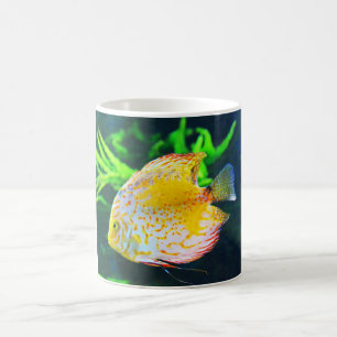 Mug Poisson Discus