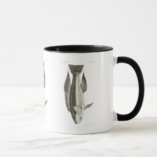 Mug Poissons vintages de NZ de la Science - Greenbone