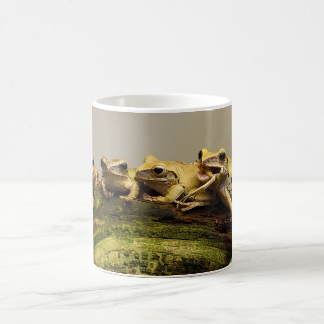 Mug Polypédates Leucomystax (Centre)