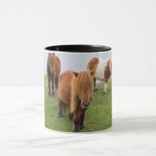Mug Poney Shetland dans un pâturage près de hautes fal