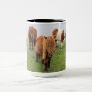 Mug Poney Shetland dans un pâturage près de hautes fal