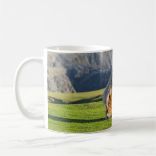 Mug Poney Shetland sur le pâturage près de hautes fala