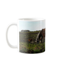 Poneys sauvages de Dartmoor