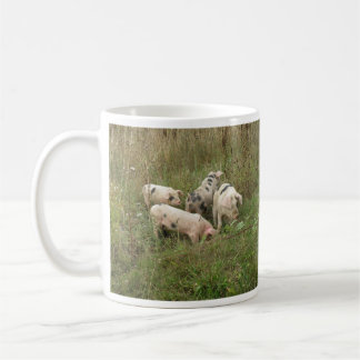 Mug Porcs dans une boue de champ