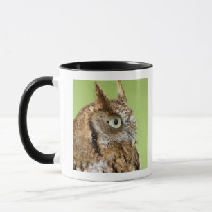 Mug Portrait de hibou de cri strident