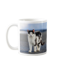 Portrait d'un chat