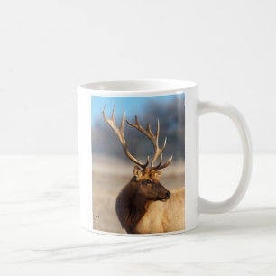 Mug Portrait d'un élan mâle superbe