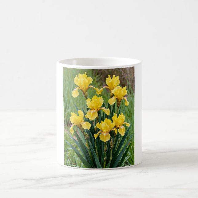 Mug Posy de passion (Centre)