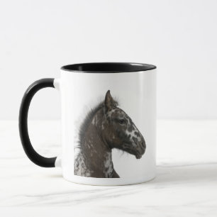 Mug poulain de croisement entre un Appaloosa et un a