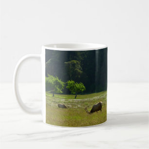 Mug Prairie aux élans du parc national de Redwood