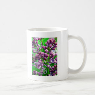 Mug Prêt à fleurir