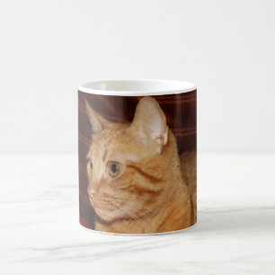 Mug Profil de visage de chat Tabou orange