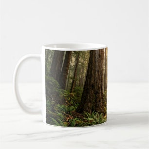 Mug Promenade en forêt