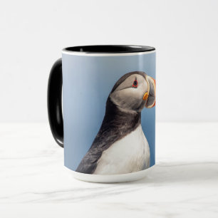 Mug Puffin Atlantique en Machias, Maine