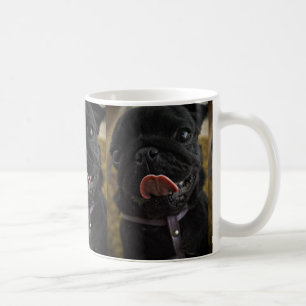 Mug pug noir qui lèche