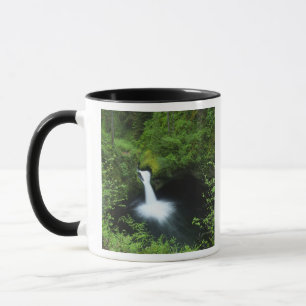 Mug Punchbowl Falls sur Eagle Creek, Columbia River