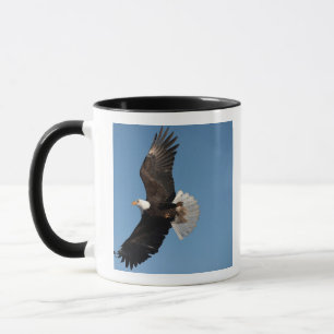 Mug Pygargue à tête blanche en vol, Haliaeetus leucoce