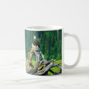 Mug Pygargue à tête blanche perché sur une branche