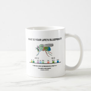 Mug Quel est le plan directeur de votre vie ? (Express