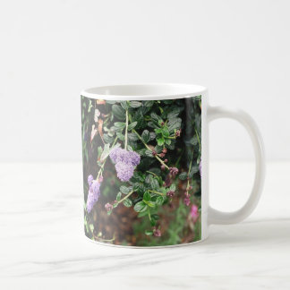 MUG R1-14