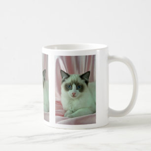 Mug Ragdoll, joint bicolore