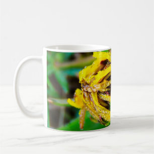 Mug Raindrops sur un Dandelion